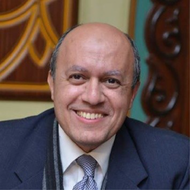 Dr Amr Safwat