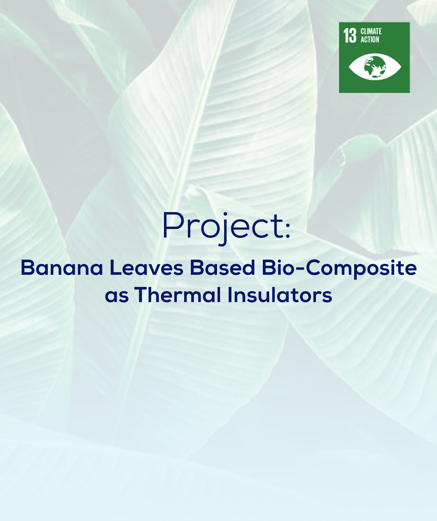 Banana Leaves-based Bio-composite as Thermal Insulators