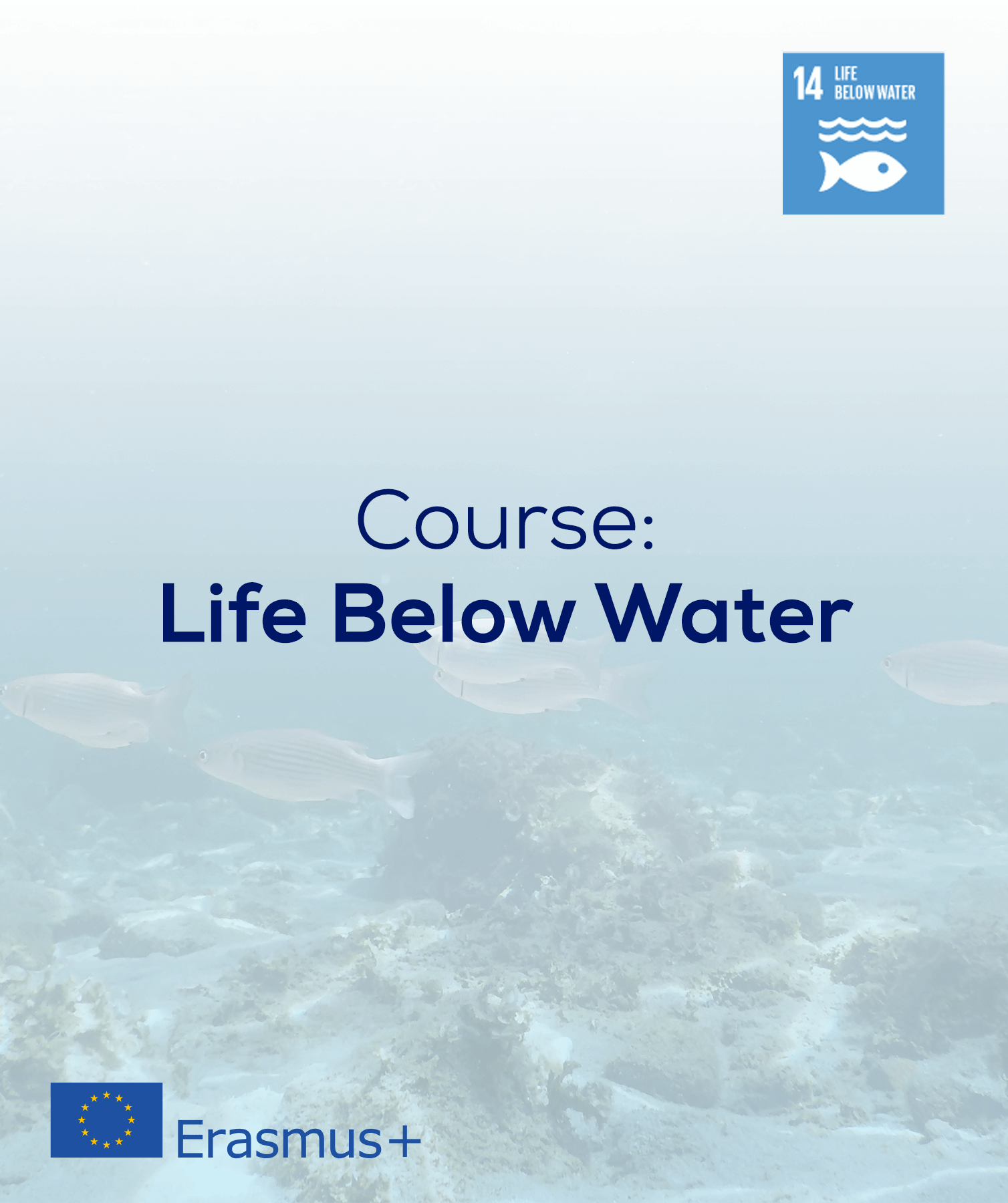 Course: Life Below Water 