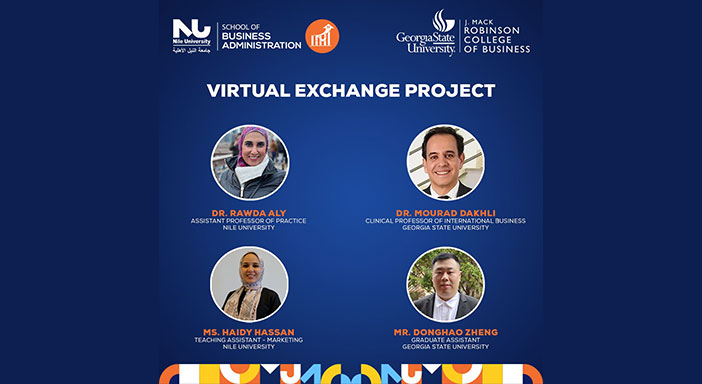 virtual Exchange Project
