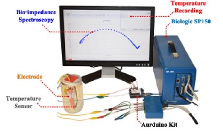 Wireless Monitoring of Fruit Growth Using an Electrical Bio Impedance Sensor Device
