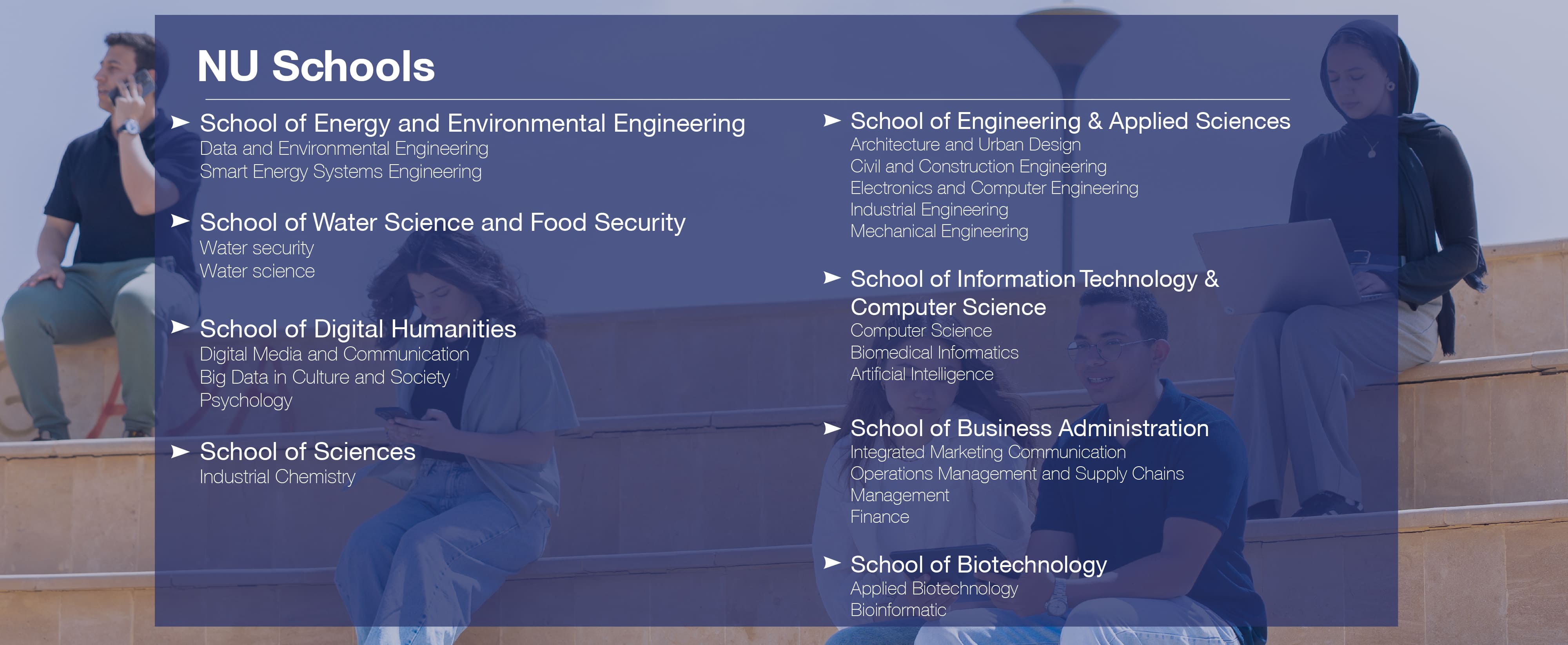 Nile University Programs