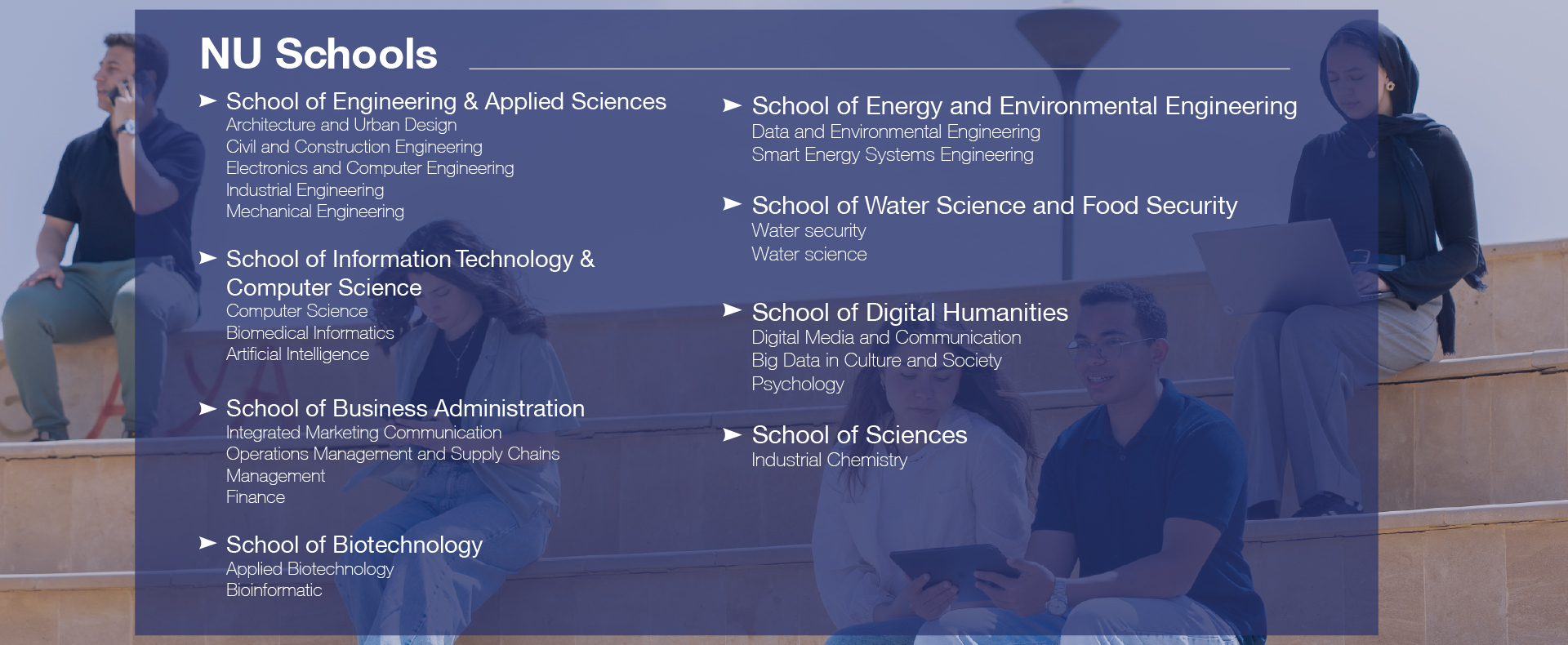 Nile University Schools