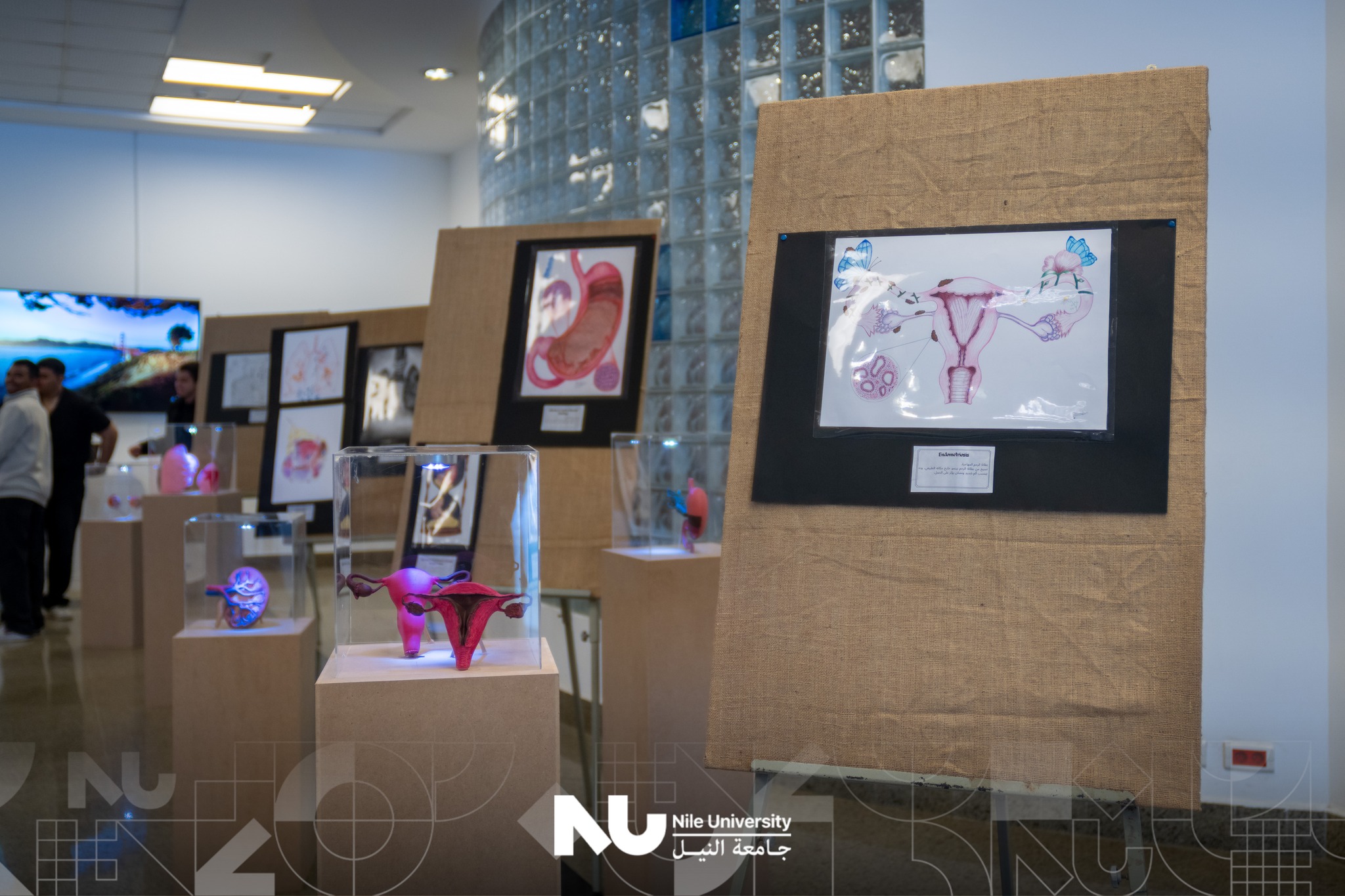 Highlights from “The Art of Tissue Across Ages” at Nile University
