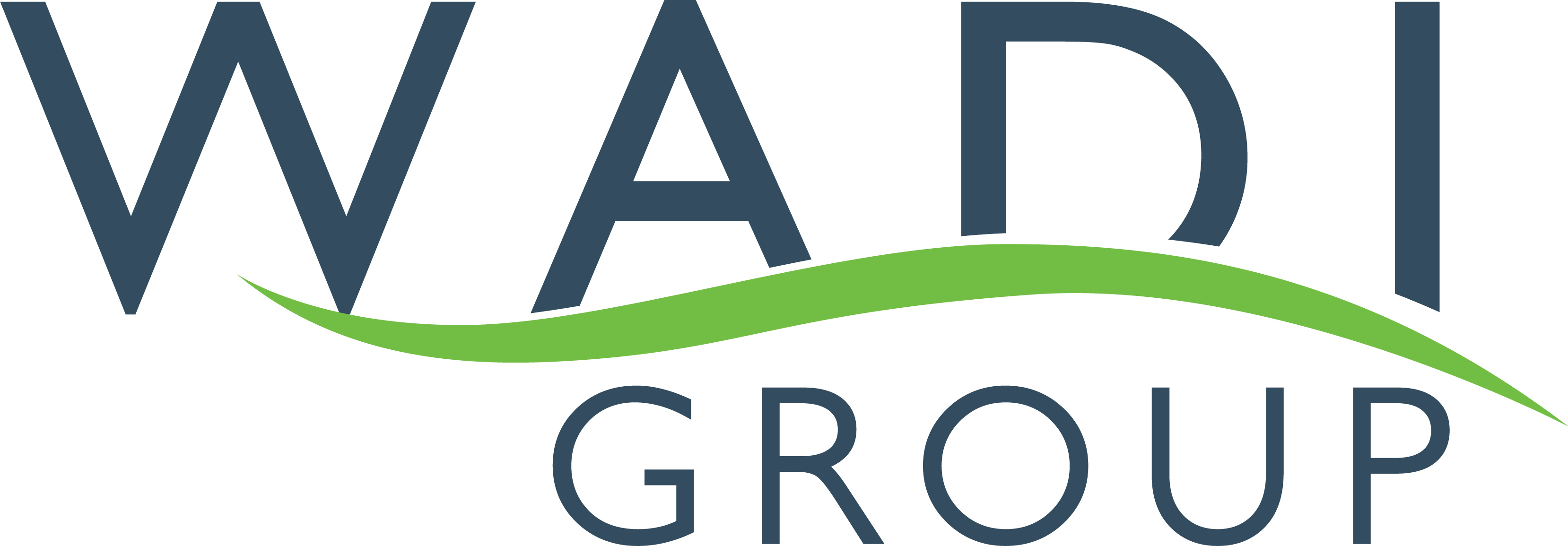 Wadi Group