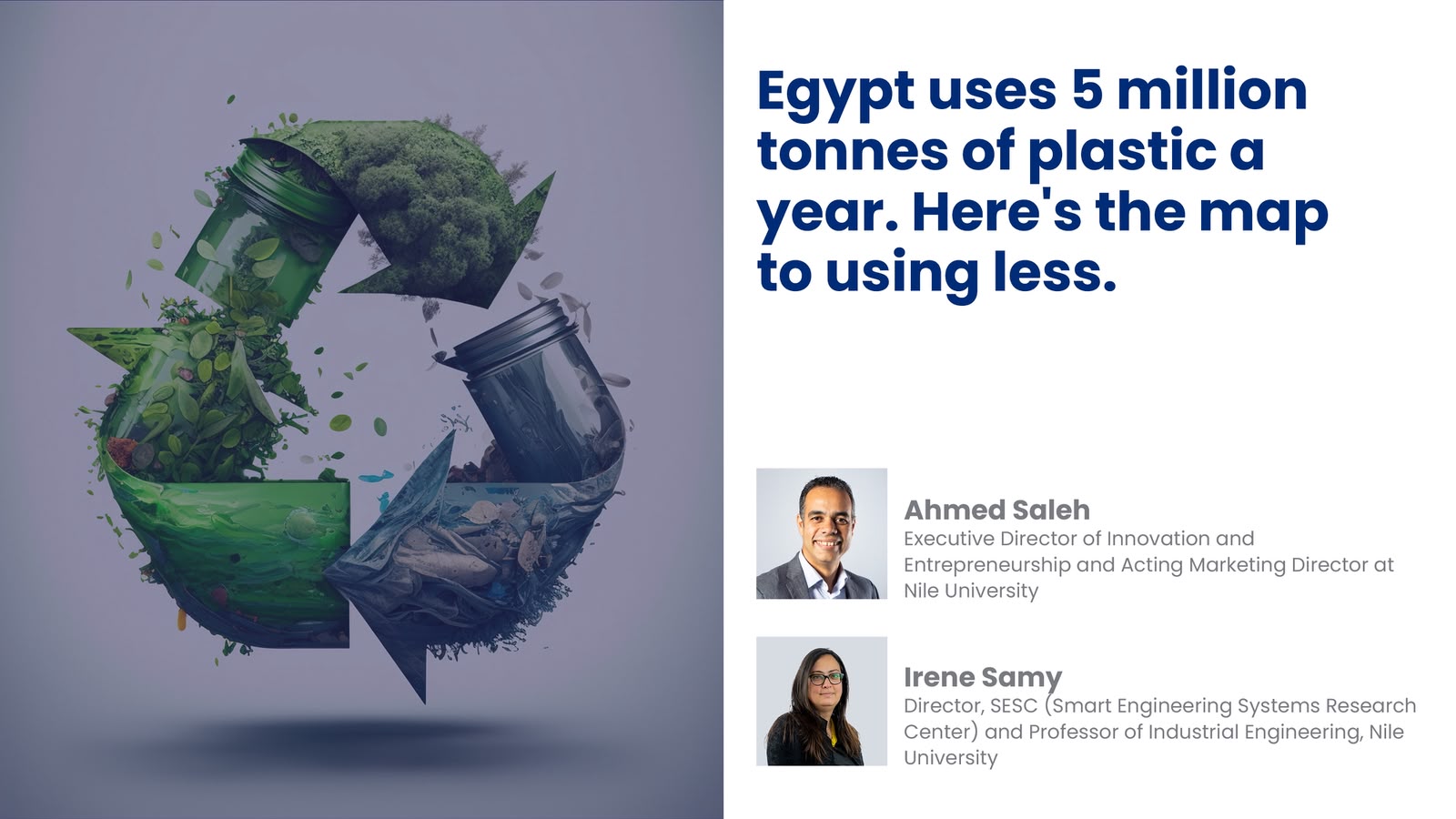 Egypt's Article