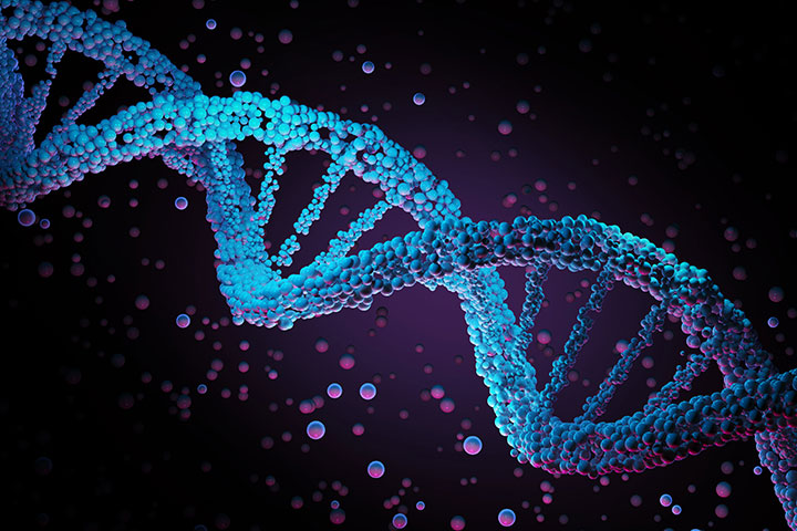 Bioinformatics Diploma